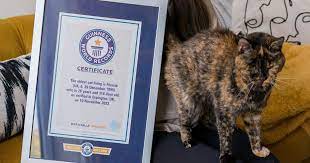 Flossie, 26, is officially the world’s oldest cat: